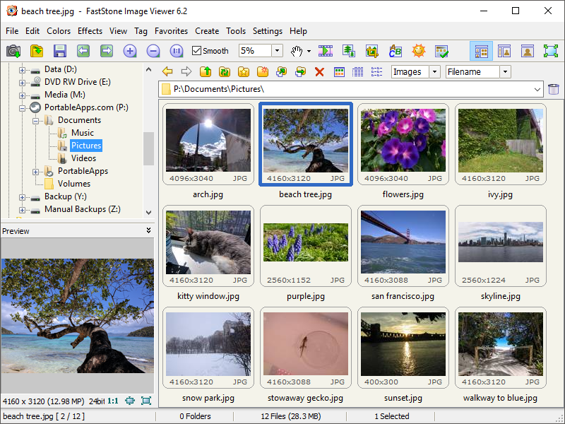 Faststone image viewer software download